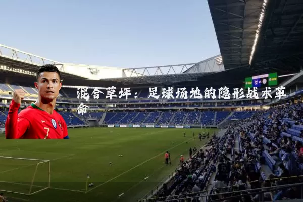 混合草坪：足球场地的隐形战术革命