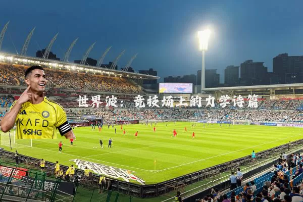 世界波:竞技场上的力学诗篇